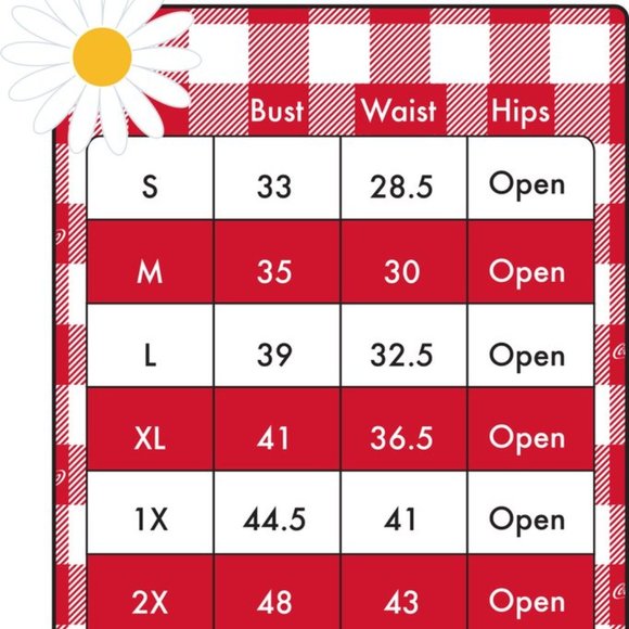 Stitch Shoppe X Coca-Cola Gingham Belt "Olivia" Dress Size XL - Picture 8 of 8